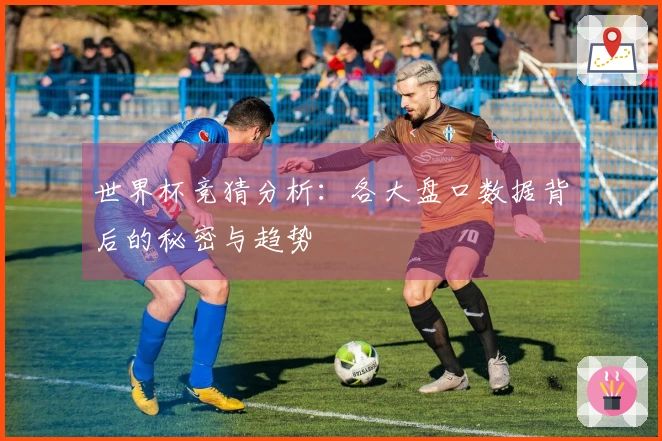 世界杯竞猜分析：各大盘口数据背后的秘密与趋势